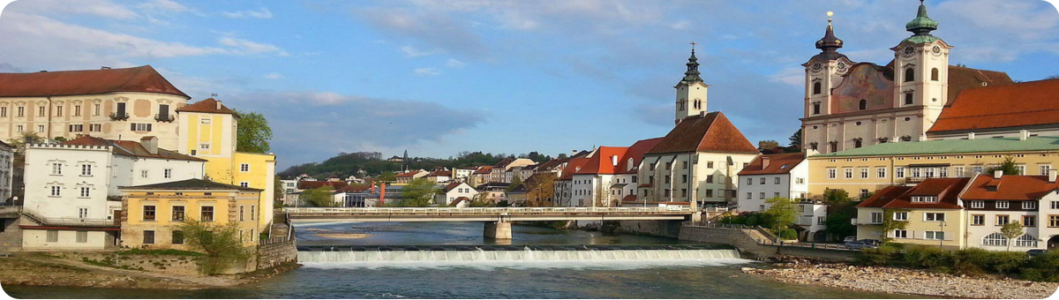 cropped-steyr